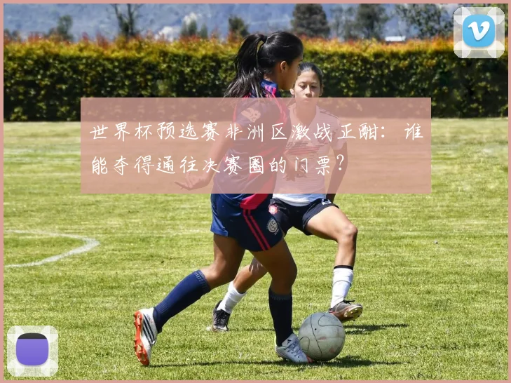 世界杯预选赛非洲区激战正酣：谁能夺得通往决赛圈的门票？